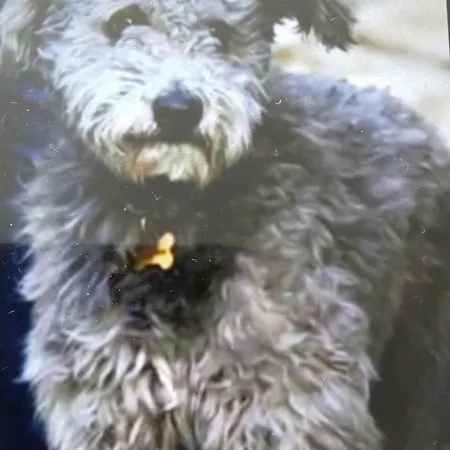 Apartmán Gesztenye *