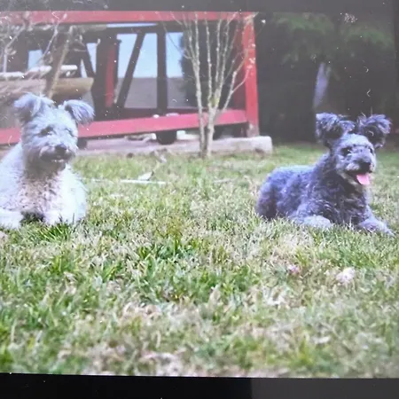 Gesztenye Apartmán *