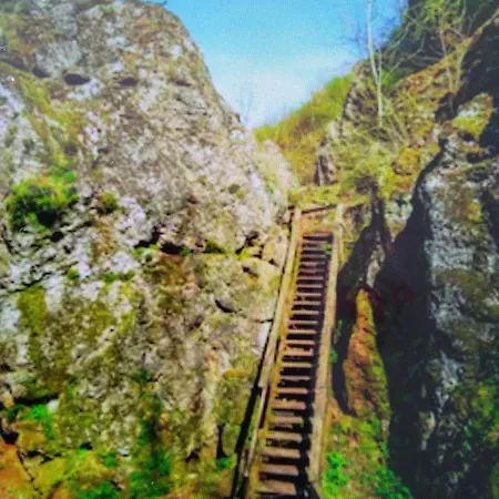 Apartmán Gesztenye Urkut