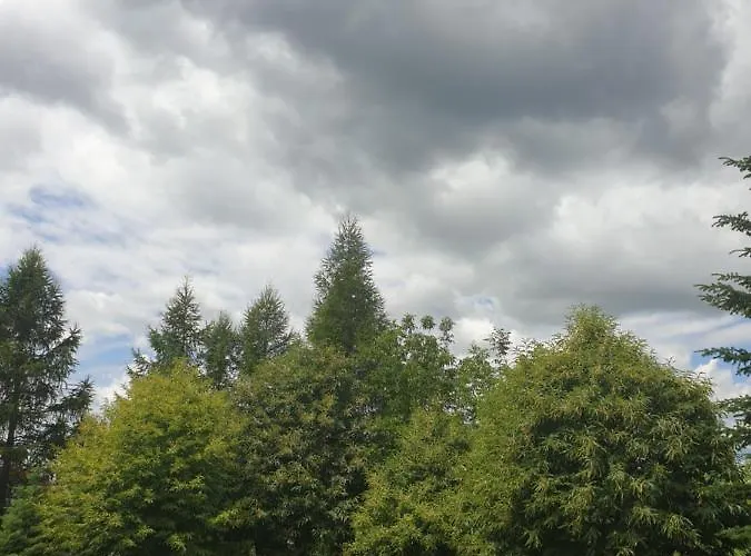 Gesztenye Apartmán