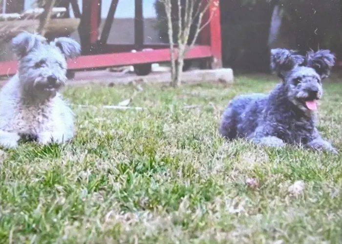 Gesztenye Apartment *