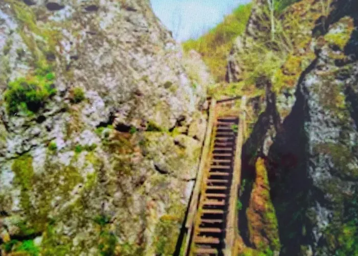 Apartment Gesztenye Urkut